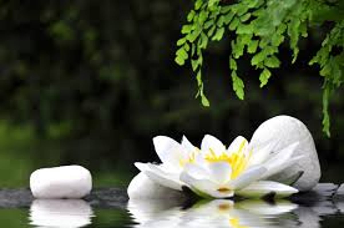 கடந்த வாரத் தலைப்பு தாமரை! வாசகர் கவிதைகள்!