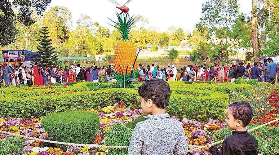 வேலை வாய்ப்புகள்...: வேளாண்மை தொழில்நுட்ப பயிற்சிகள்!