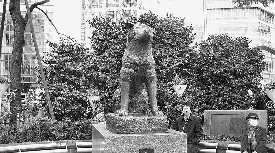 உன்னதமான உறவு விசுவாசம்!: தன்னிலை உயர்த்து! - 37