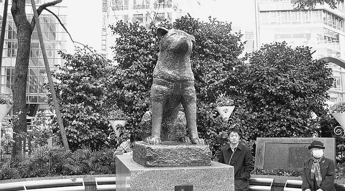 உன்னதமான உறவு விசுவாசம்!: தன்னிலை உயர்த்து! - 37