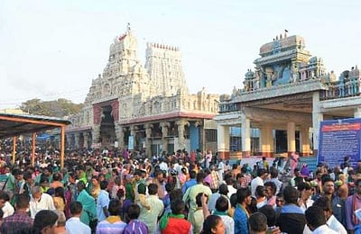 வரி ஏய்ப்புப் புகார்: பழநி பஞ்சாமிர்த கடைகளில் வருமான வரிச் சோதனை