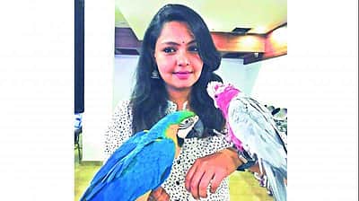எங்க வீட்டில் இருக்கும் கிரே கிளி எல்லாரையும் பெயர் சொல்லித்தான் கூப்பிடும்! கால்நடை மருத்துவர் டாக்டர் ராணி மரியா தாமஸ் பேட்டி!