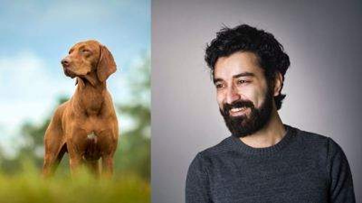 ‘தாடி வைத்த ஆண்களை விட நாய்கள் சுத்தமானவையாம்’ வெளிவந்திருக்கிறது அதிரிபுதிரி ஆய்வு முடிவு!