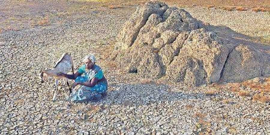 குழாயைத் திறந்தால் தண்ணீர் வருகிறதா? நீங்கள் அதிர்ஷ்டசாலிதான்!