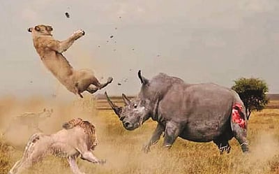 66 கிலோவில் இருந்த நான் 53 கிலோவிற்கு எப்படி வந்தேன்?