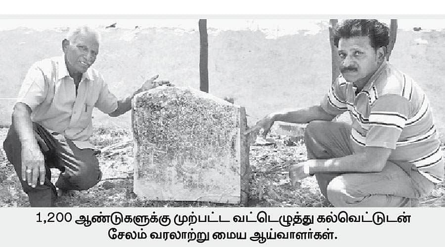 News image