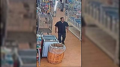 'ராயல் பைத்தான்'  வகை பாம்பை பேண்ட் பாக்கெட்டில் போட்டு திருடிச் சென்ற வாலிபர்  (வைரல் விடியோ)