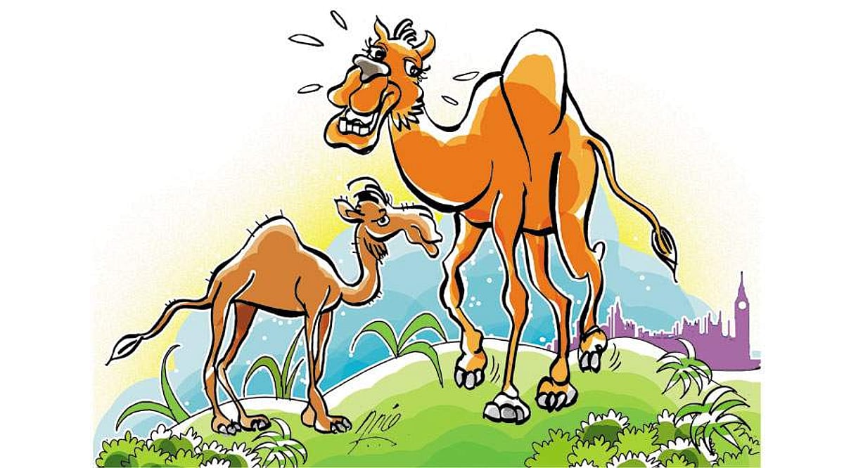 தாயும் குட்டியும்!