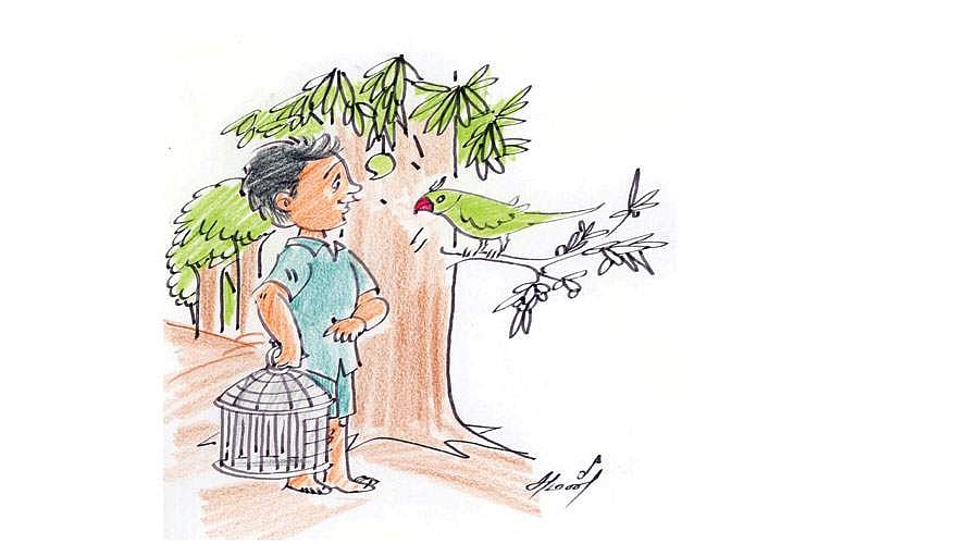 கதைப் பாடல்: பச்சைக்கிளியும் சிறுவனும்!