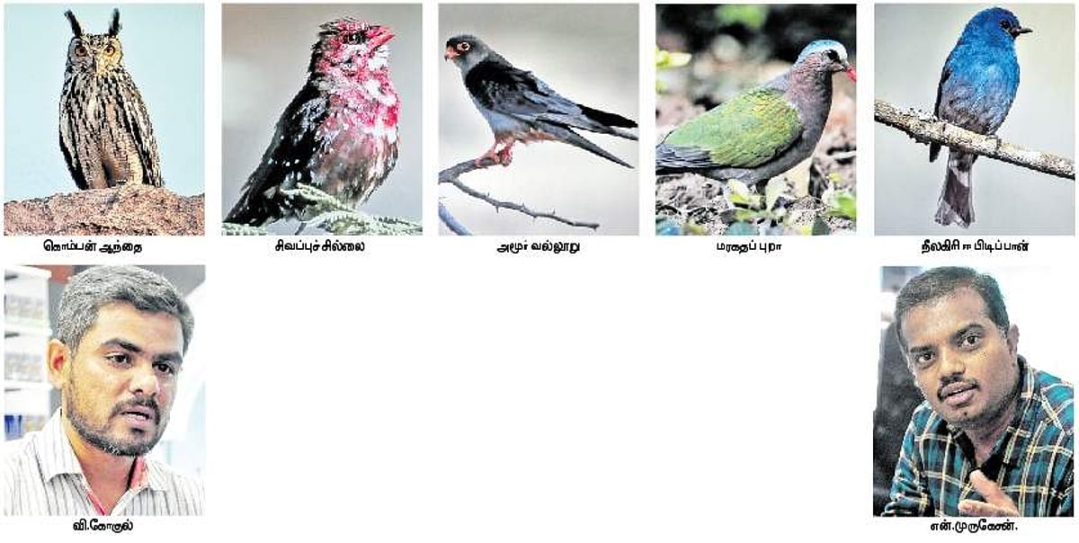 கிழக்குத் தொடர்ச்சி மலையில் வாழும் 308 வகை பறவைகள்! கணக்கெடுப்பில் தகவல்