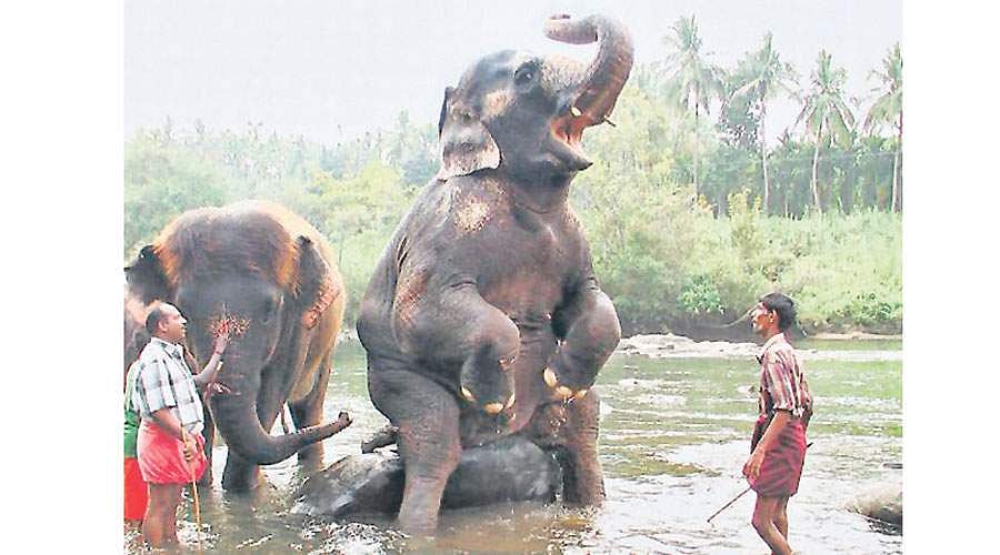 விடியல் எப்போது?