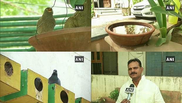 ராஜஸ்தானின் பக்ஷி ராஜன்!