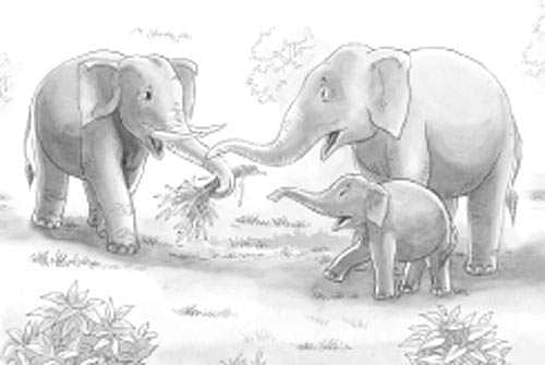 ஆண் யானையின் அன்புச் செயல்!