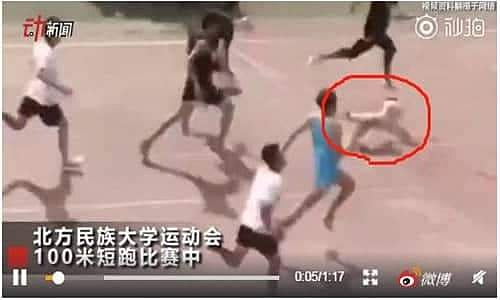 100 மீட்டர் ஓட்டப்பந்தயத்தில் வெண்கலப் பதக்கம் வென்ற நாய்