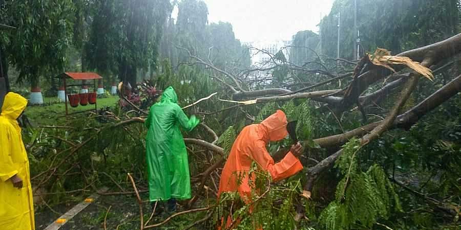 ஃபானி புயலால் ஒடிஸாவில் மூன்று பேர் பலி: தீவிரப் புயலாக வலுவிழந்தது