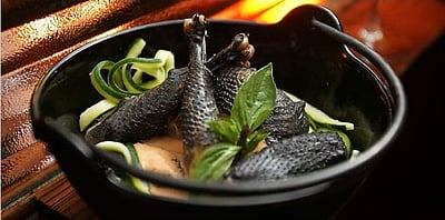 கிலோ 1,73,435 ரூபாய் ‘பிளாக் சிக்கன்’ கேள்விப்பட்டிருக்கீங்களா?