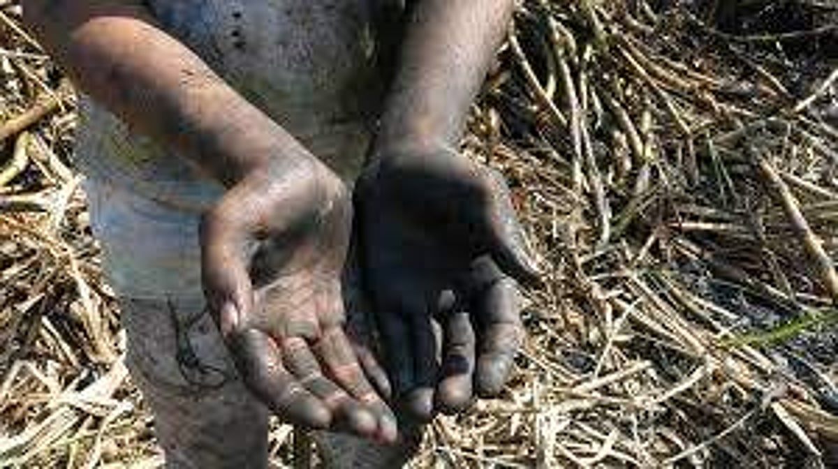 சுதந்திரமாக வாழ வேண்டும்!