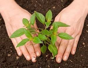 மனிதம் வளர்க்கும் ‘முல்லை வனம்’ பற்றித் தெரிந்து கொள்வோமா!