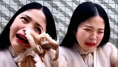 ஆக்டோபஸை உயிருடன் சாப்பிட முயன்ற பெண்ணுக்கு நேர்ந்த விபரீதம்!