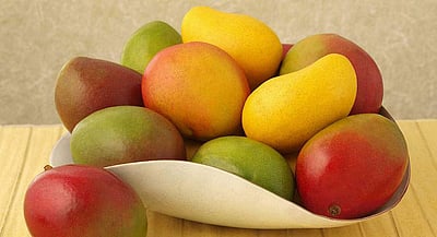  8. ஆஹா! மாம்பழ சீஸன் வந்தாச்சு!