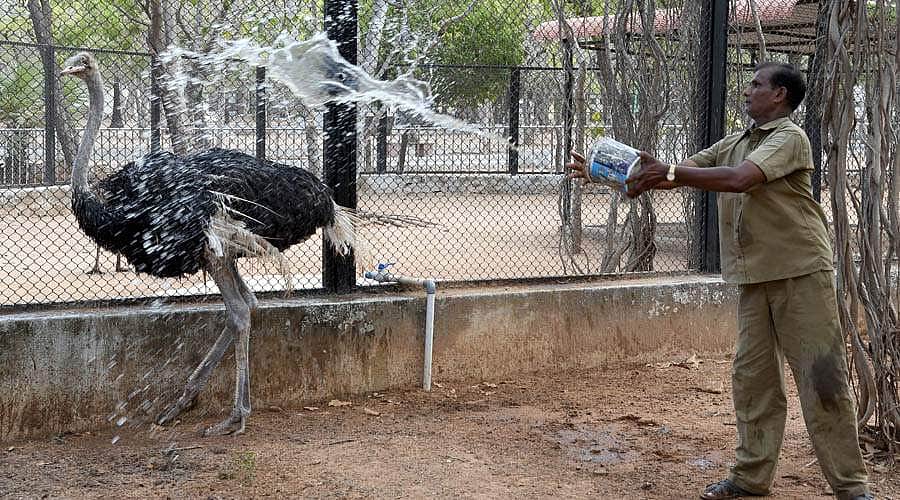 சிறுவர் பூங்காவில் சிறப்பு ஏற்பாடு