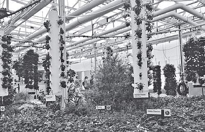 அத்தியாயம் - 22