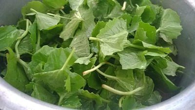 ஞாபக சக்தி திறனை அதிகரிக்க உதவும் அற்புத ஆற்றல் மிக்க ஜூஸ்