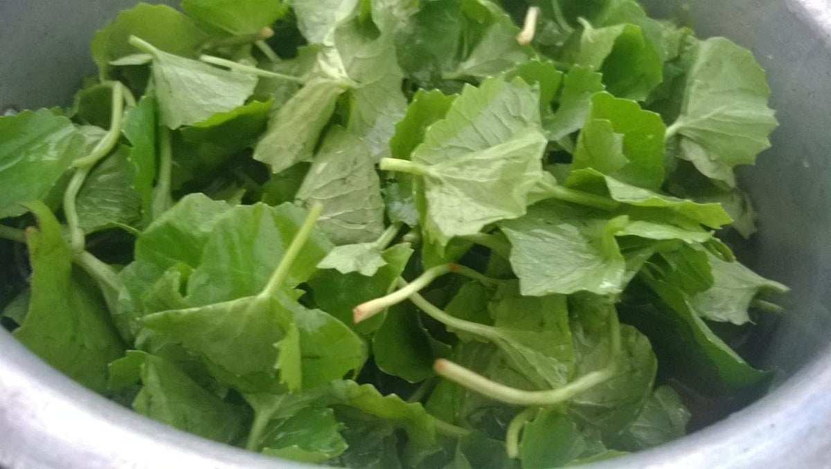 ஞாபக சக்தி திறனை அதிகரிக்க உதவும் அற்புத ஆற்றல் மிக்க ஜூஸ்