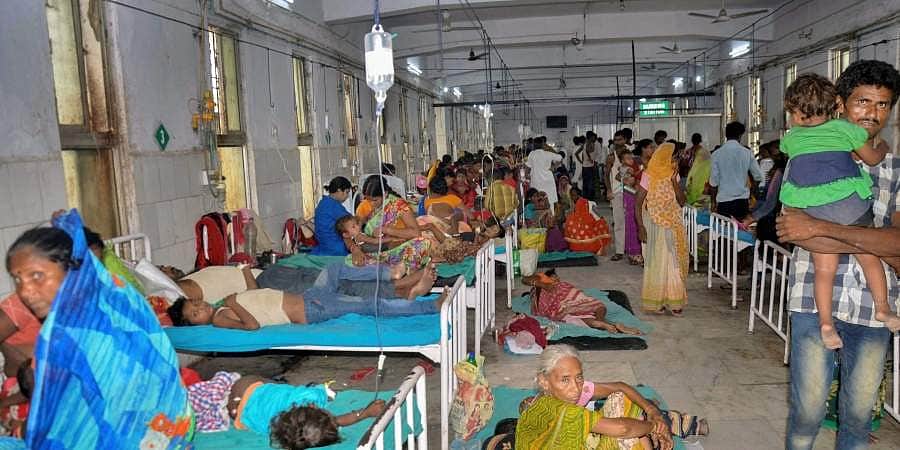 பிகார் மர்மம்: லிச்சிப் பழம் சாப்பிடும் பணக்கார குழந்தைகளை மூளை அழற்சி தாக்காதது ஏன்?