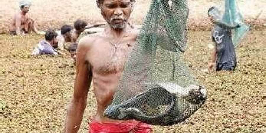 தண்ணீர் இல்லாததால் விவசாயிகள் என்ன செய்து கொண்டிருக்கிறார்கள் தெரியுமா?