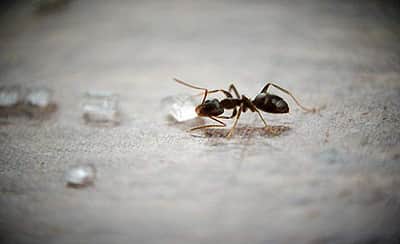 மெட்டீரியலிஸ்டிக் மனிதர்களுக்கு இது கொஞ்சம் பைத்தியக்காரத் தனமாய் இருக்கலாம்! அதனால் என்ன?