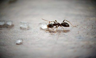 மெட்டீரியலிஸ்டிக் மனிதர்களுக்கு இது கொஞ்சம் பைத்தியக்காரத் தனமாய் இருக்கலாம்! அதனால் என்ன?