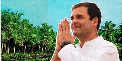 தேர்தல் வெற்றிக்கு நன்றி நவில வயநாடு செல்லும் ராகுல்!