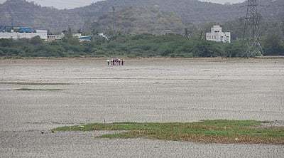 பழனி பிரம்ம தீர்த்தக் குளத்தில் திடீரென செத்து மிதந்த மீன்கள்: அதிர்ச்சியில் பக்தர்கள்!