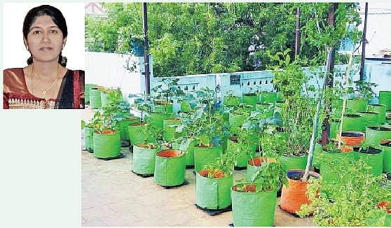 ஆரோக்கியத்திற்கு ஆதாரமாகும் நாட்டு விதைகள்!