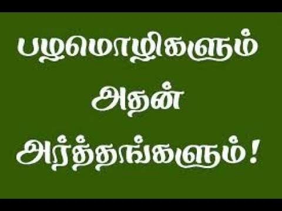 தமிழ் மேல் தீராக்காதல் கொண்டு பழமொழி விளக்கம் சொன்ன வாசகர்கள் அனைவருக்கும் நன்றி! இதோ உங்கள் பதில்கள்!