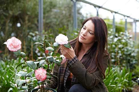 பூச்செடிகள், காய்கறிச் செடிகளுடன் பேசும் வழக்கமிருக்கா உங்களுக்கு?