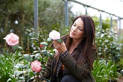 பூச்செடிகள், காய்கறிச் செடிகளுடன் பேசும் வழக்கமிருக்கா உங்களுக்கு?