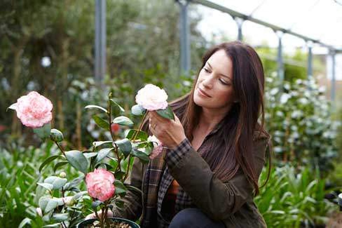பூச்செடிகள், காய்கறிச் செடிகளுடன் பேசும் வழக்கமிருக்கா உங்களுக்கு?