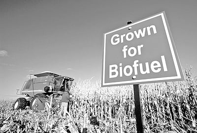 அத்தியாயம் - 24