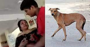 ‘நாய் கடிச்சா, கடிச்ச நாயைத் நீங்க திரும்பக் கடிங்க’ நாய்க்கடிக்கு சிகிச்சை பெற வந்த பெண்ணிடம் நக்கலடித்த அரசு மருத்துவர்!