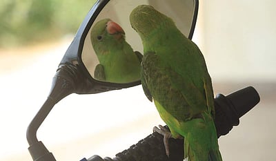 உருகவைக்கும் பாசப்பதிவு