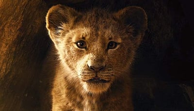 தி லயன் கிங் படத்தில் உள்ள அரசியல்: இயக்குநர் வசந்த பாலன் விமரிசனம்!