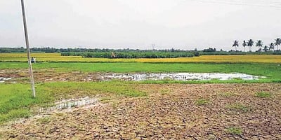 60 ஏக்கர் ஏரியை காணவில்லை: 50 ஆண்டுகளுக்குப் பின் தெரியவந்த அதிர்ச்சி!