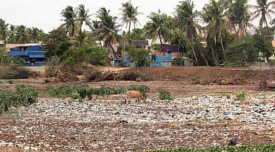 வறண்டது சிட்லப்பாக்கம் ஏரி