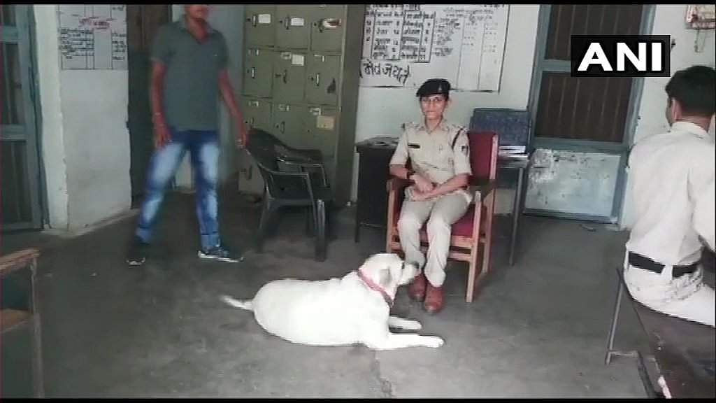 5 பேரைக் கொன்றுவிட்டு 6 பேர் சிறைக்குச் சென்ற சம்பவம்: அனாதையான நாயை பராமரிக்கும் போலீஸார்