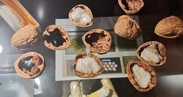 வால்நட்டில் போதை மருந்து கடத்திய பெண்! கடத்தல்காரர்கள் 8 அடி பாய்ந்தால் கஸ்டம்ஸ்காரர்கள் 16 அடி பாய்ந்தாக வேண்டிய நிர்பந்தம்!