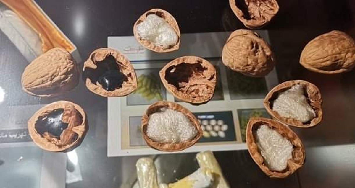 வால்நட்டில் போதை மருந்து கடத்திய பெண்! கடத்தல்காரர்கள் 8 அடி பாய்ந்தால் கஸ்டம்ஸ்காரர்கள் 16 அடி பாய்ந்தாக வேண்டிய நிர்பந்தம்!