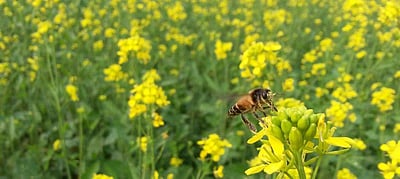 அத்தியாயம் - 28