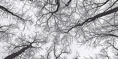 'கருப்பு' வாசகர் கவிதை பகுதி 1